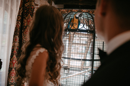 Beautiful married couple looking at the cage with a parrot.の写真素材