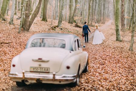 Beautiful wedding couple posing near the car in the forest.の写真素材