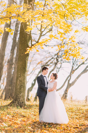 Smiling couple hugging  in autumn park. Happy bride and groom in forest, outdoorsの写真素材