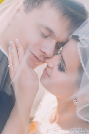 Close up portrait of romantic kissing newlyweds couple under the white transparent veil. Wedding background.の写真素材
