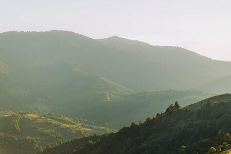 Beautiful summer landscape in the mountains at sunny day. Carpathian, Ukraine.の写真素材