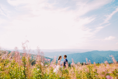 Two lovers - young beautiful girl in white dress and her handsome man, shot on meadow. Field flowers at foreground.の写真素材