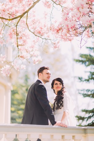 Charming bride and handsome groom under blossoming magnolia tree, leaning on antique baluster.の写真素材