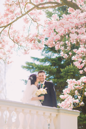 Beautiful newlywed couple on terrace in sunny garden under blossoming magnolia tree branches. Bride is kissing groom' cheek.の写真素材