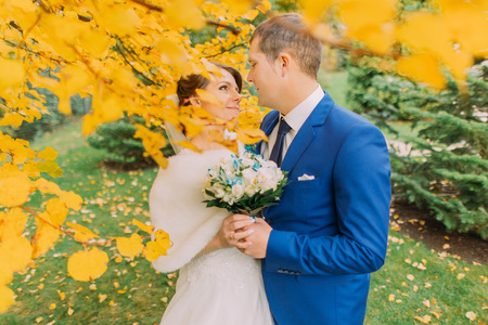 Romantic moment of newly married couple under autumn tree with yellow leaves. Stylish groom is gently holding his elegant bride.の写真素材