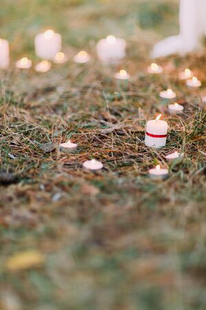 Romantic candle decoration in the pine needles at the evening.の写真素材