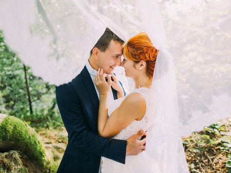 Happy young newly married couple holding hands and softly kissing under white veil in the green forest.の写真素材