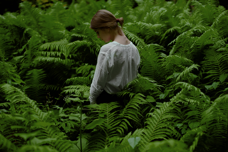 Beautiful woman posing looking down among ferns in the woods. Fantasy and surreal.の写真素材