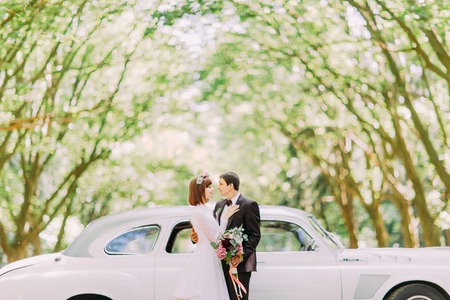 Beautiful red-head bride and elegant groom hugging near stylish retro car in the sunlight.の写真素材