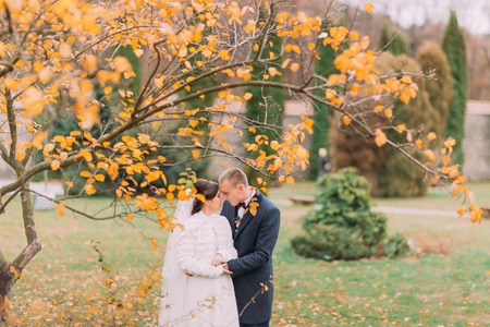 Charming newlywed pair embracing in the beautiful autumn park under tree with yellow leaves.の写真素材