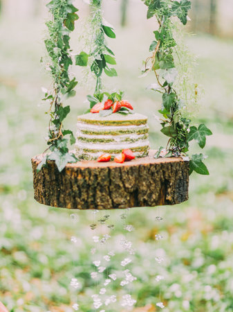 The sponge green and white cake decorated with strawberries and placed on the stump hangning on the tree. The close-up composition in the forestの写真素材