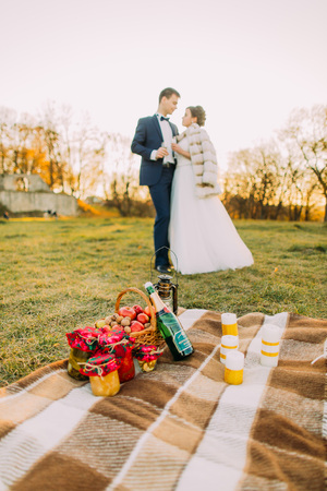 The composition of the picnic consisted of the basket with apples and nuts, candles and vintage lamp placed on the tartan plaid at the background of the newlyweds with champagne.の写真素材