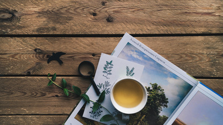 Interesting composition of the lovely postcard, book of paintings, cup of tea and magnifying glass decorated with herbs placed on the wooden table.の写真素材