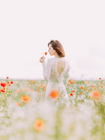 The bride is smelling the poppy among flowers in the field. The back view.の写真素材