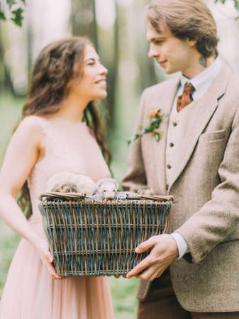 The blurred lovely smiling newlyweds is holding woven box with gray ferrets in the forest.の写真素材