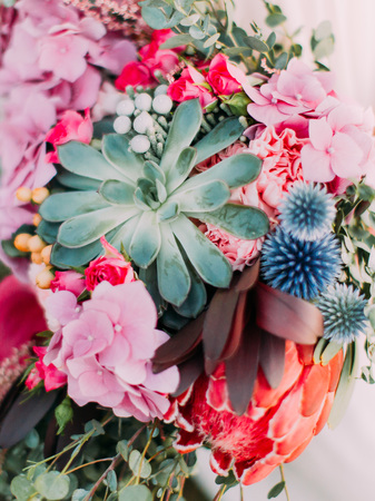 Close-up view of the different exotic flowersの写真素材