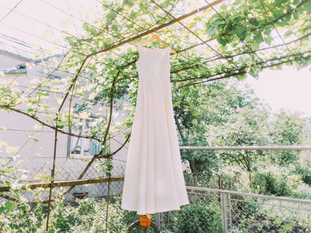 Horizontal view of the wedding dress hanging in the blooming gardenの写真素材