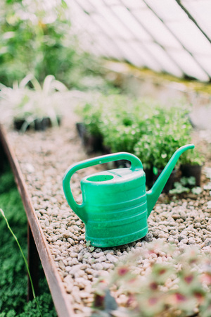 Green plastic watering in the greenhouseの写真素材