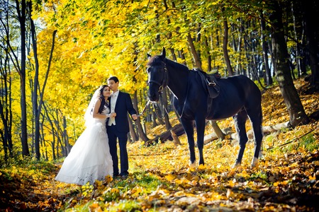 Beautiful wedding portrait in the autumn park. The beautiful gorgeous couple of newlyweds are tenderly hugging while walking with the black horse.の写真素材
