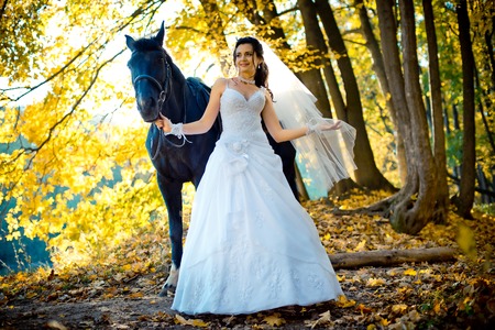 The beautiful happy bride with natural make-up and pretty smile walking with the horse along the autumn park.の写真素材