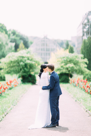 The groom is kissing the bride in the cheek in the park. The full-length back view.の写真素材