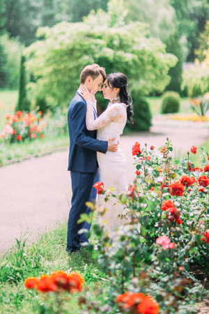 The sensitive outdoor view of the hugging newlyweds among red roses.の写真素材