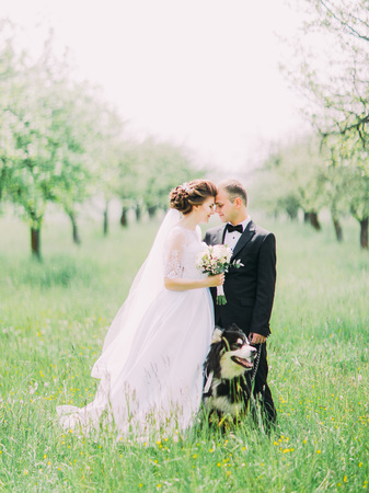 The vertical portrait of the happy newlyweds standing head-to-head behind the black dog in the green field.の写真素材