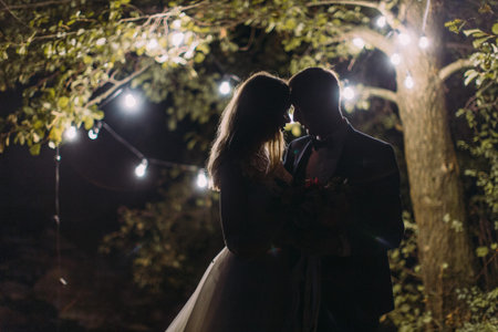 The silhouette of the hugging newlyweds at the background of the tree decorated with little garland lamps.の写真素材
