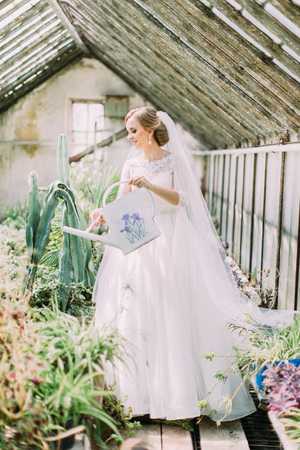 The beautiful bride is watering the plants via watering can. Greenhouse location.の写真素材
