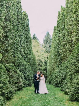 Cheerful newlyweds are walking along the garden with high bushes.の写真素材
