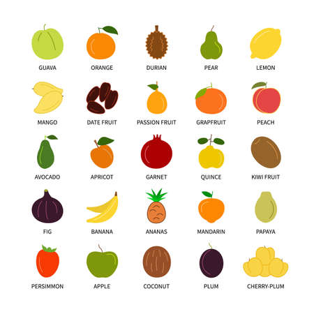 Fruits natural organic outline vector icons set. Vegan, business, analysis, design elements,   fresh healthy food and more. Isolated collection of fruits for websites and telephones.のイラスト素材