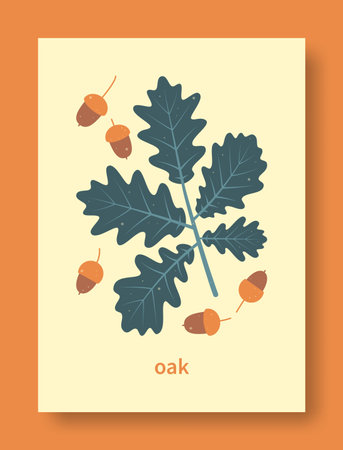 Vector illustration abstract still life of oak branch and oak fruit in pastel colors. Collection of contemporary art. Vector set of oak branch and oak fruit for social media, posters, postcards.のイラスト素材