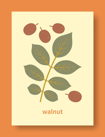 Vector illustration abstract still life of walnut branch and walnut fruit in pastel colors. Collection of contemporary art. nature and ecology.のイラスト素材