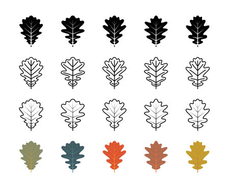 Oak leaves vector line icons. nature and ecology. Oak, leaves, plant, vector, icons, drawing, leaves and more. Isolated collection of leaves oak for websites icon on white background.のイラスト素材