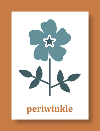 Abstract symbol of periwinkle flower. Simple minimal style of periwinkle petals and branch with leaves for social media, cards, mobile concepts, business, posters and web design. vector illustration.のイラスト素材