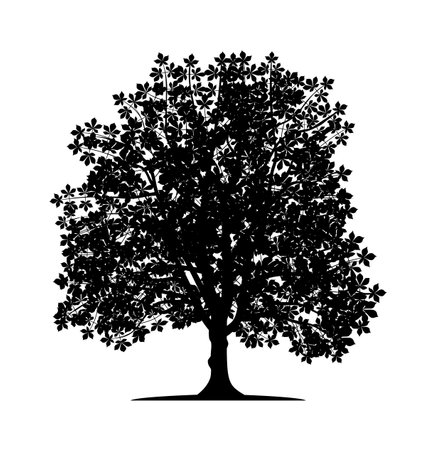 Vector silhouette of chestnut tree. nature and ecology. Isolated vector silhouette of chestnut tree on a white background for social networks, posters, cards and more.のイラスト素材