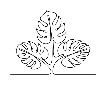 Monstera plant in continuous line drawing style. Minimalist vector black linear sketch of a monstera plant on a white background for social networks, posters, cards and more. vector illustration.のイラスト素材