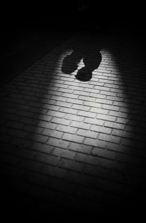 Shadows of couple in love on a walk in the city on sunny day. Man and women holding hands and...