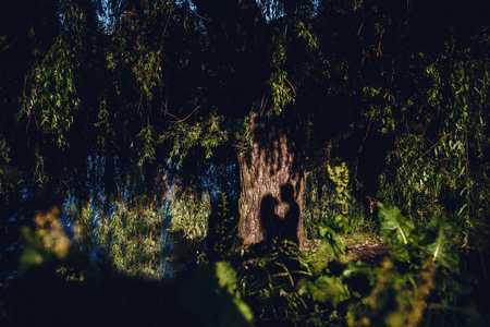 Love of man and woman depicted in couple silhouettes holding hands and looking on each other. Young lovers postures on treeの写真素材