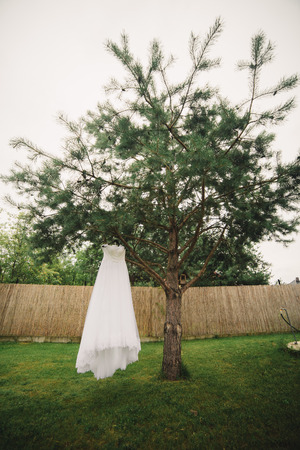 wedding concept. wedding dress hanging on a tree.の写真素材