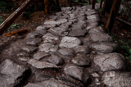 stone path in a forest in the mountains. Morske Oko, Europeの写真素材