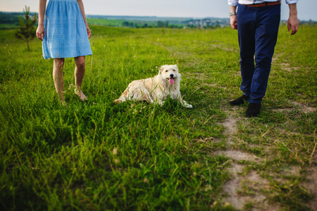 happy dog is having a rest with the owner in the natureの写真素材