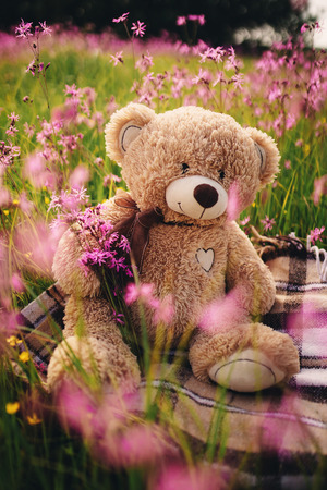 spring flowers. toy bag with a bouquet of flowers. Teddy bear and a bouquet of lilac flowersの写真素材