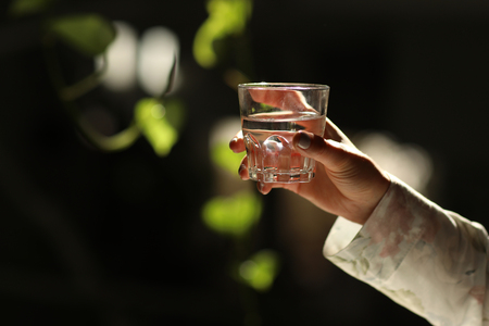 Woman hands isolated, holding a glass of water on a dark background with green leaves.の写真素材