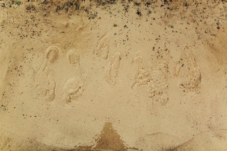 Footprints on the sand. on the beachの写真素材