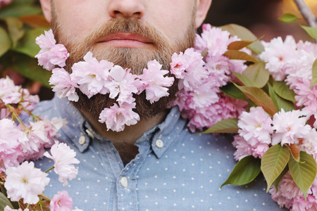 Bearded man with cherry flowers in beard, male portrait close-up on spring background. male beard in sakura flowersの写真素材