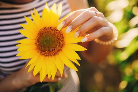 Close up no face female wearing summer dress holding a sunflower at her chest. beautiful manicureの写真素材