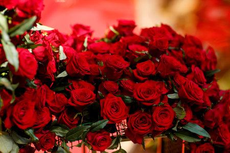 many red roses. beautiful red roses. roses in the interiorの写真素材