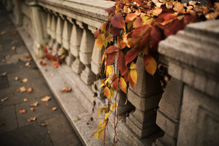 Autumn landscape - autumn city park with fallen yellow autumn leaves and autumn trees.