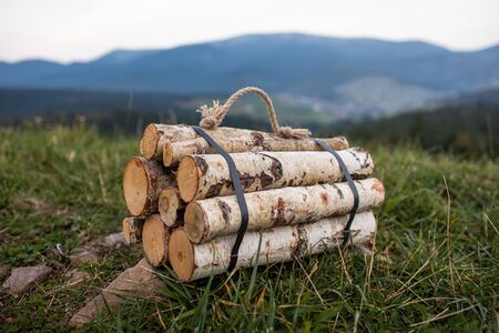 Autumn firewood prepared for campfire in the Carpathian Mountains in Ukraine. Chopped firewood for the fireplaceの写真素材